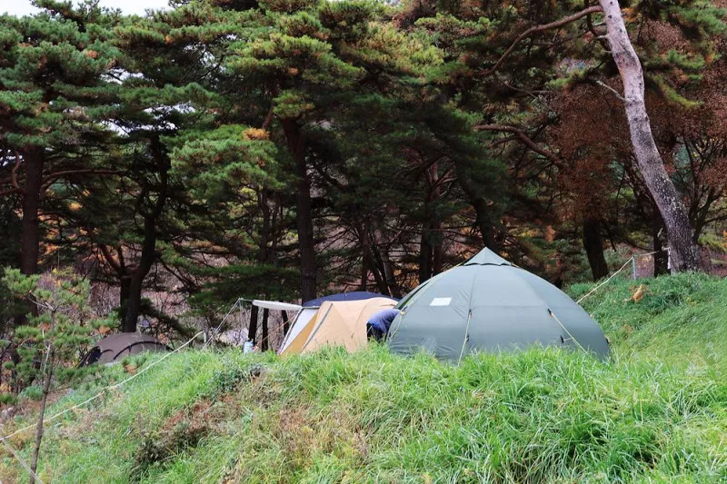 산너미목장 3