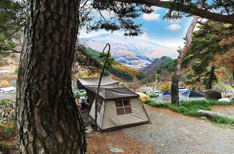 산너미목장 7