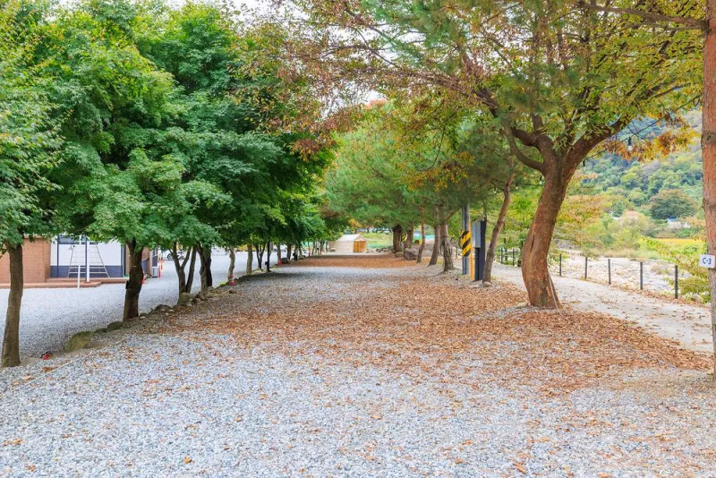 포레스트캐빈앤캠프 9