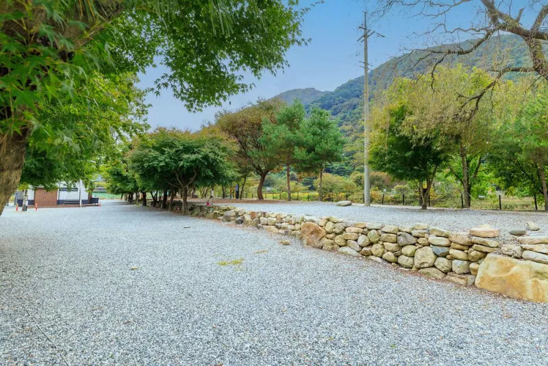 포레스트캐빈앤캠프 11