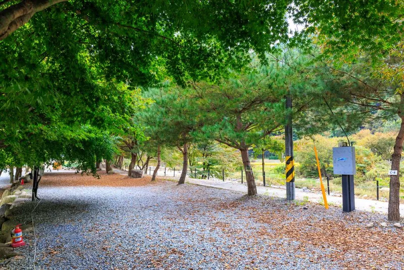 포레스트캐빈앤캠프 3