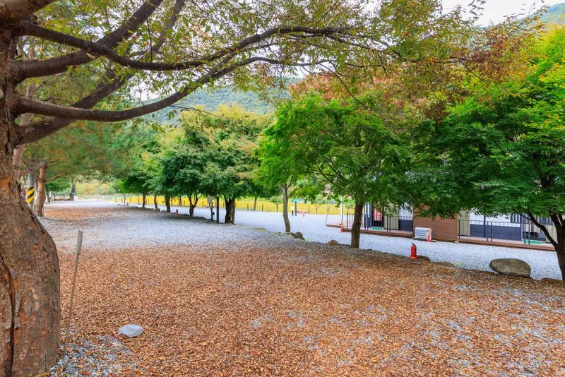 포레스트캐빈앤캠프 8