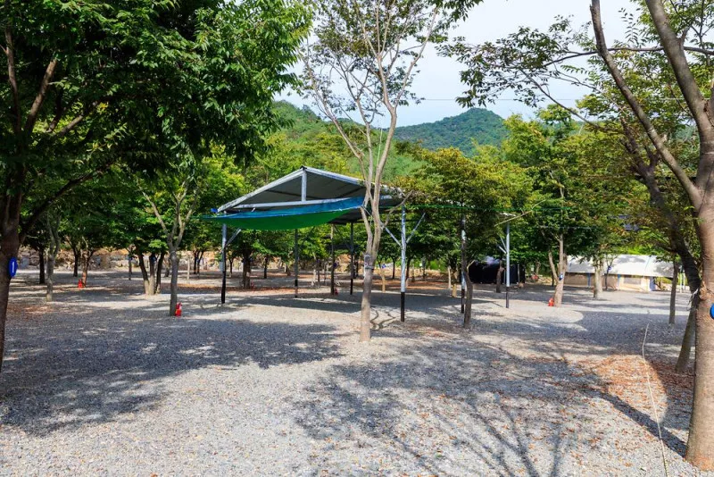 청도 사계절 캠핑장 10