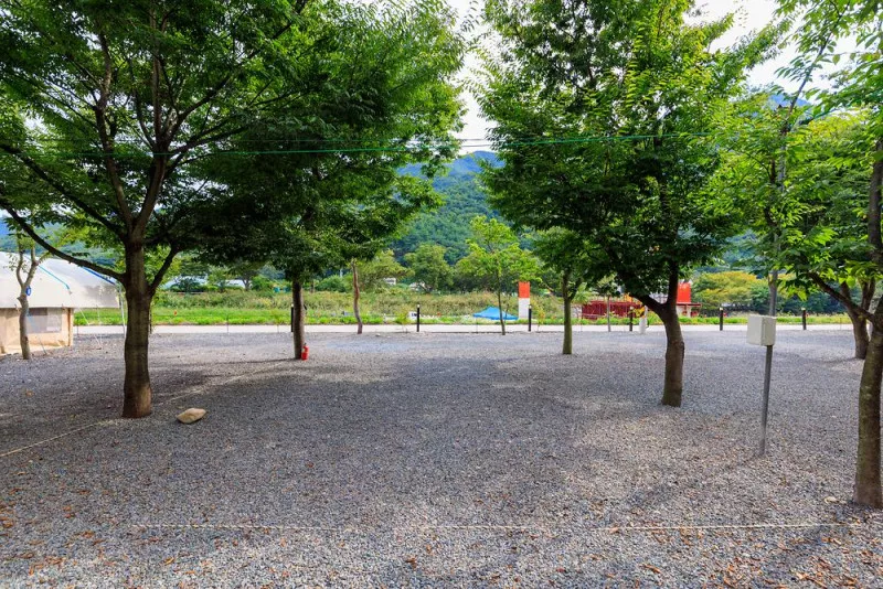 청도 사계절 캠핑장 8