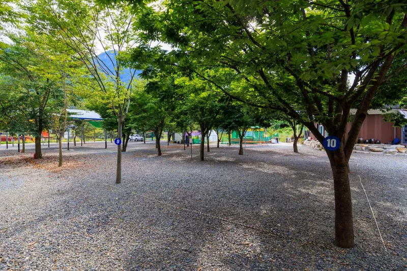 청도 사계절 캠핑장 7