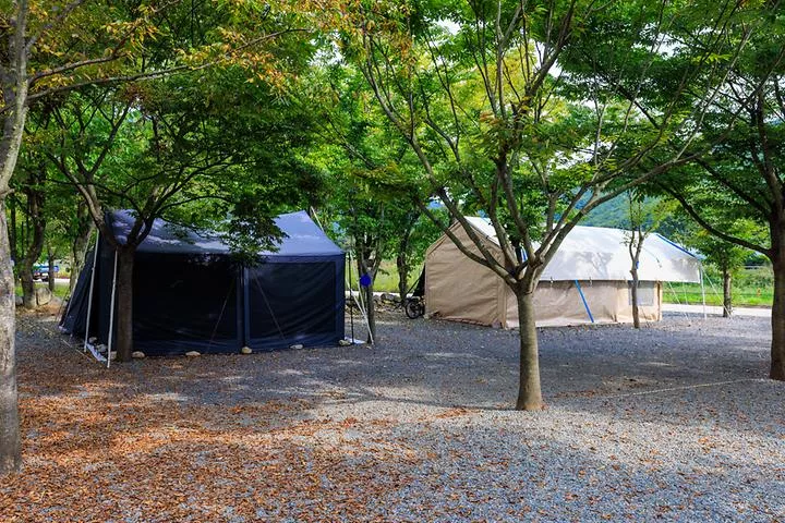 청도 사계절 캠핑장 1