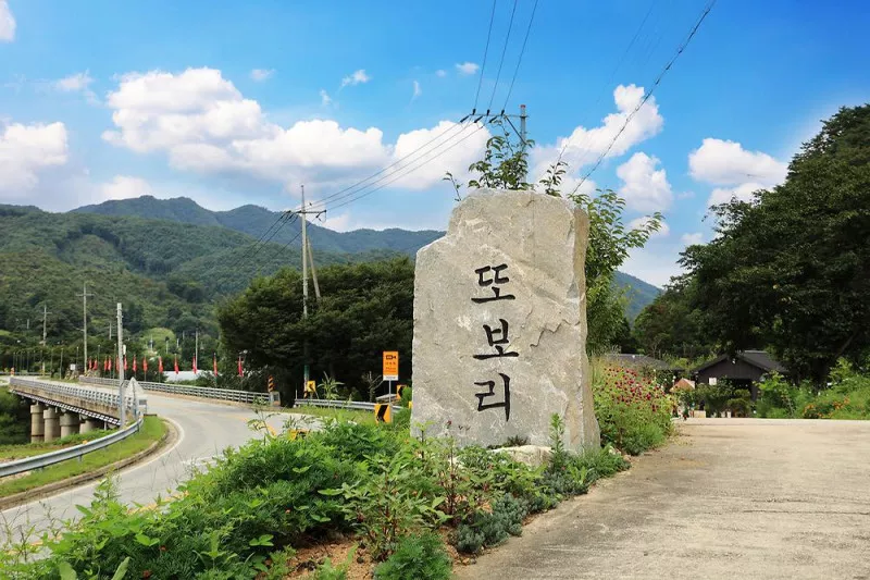 또보리 캠프 10