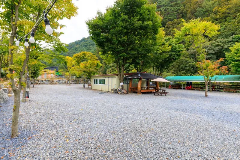 명암539펜션오토캠핑장 6