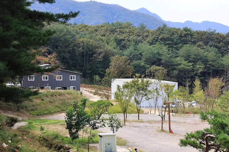 용화산테마파크 캠핑장 4