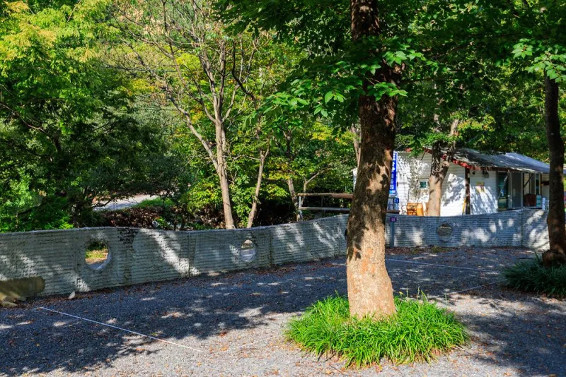 그로브(grove)캠핑 5