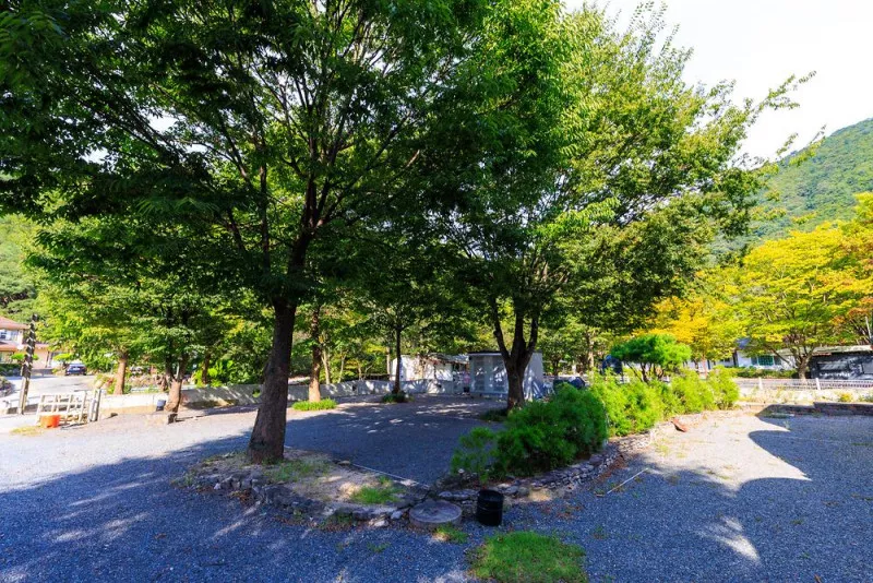 그로브(grove)캠핑 6