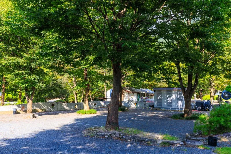 그로브(grove)캠핑 4