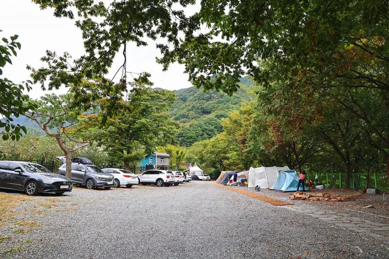 캠핑가는 날 6