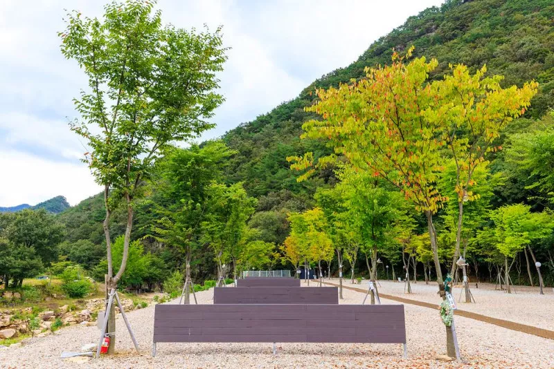신월리 오토캠핑장 6