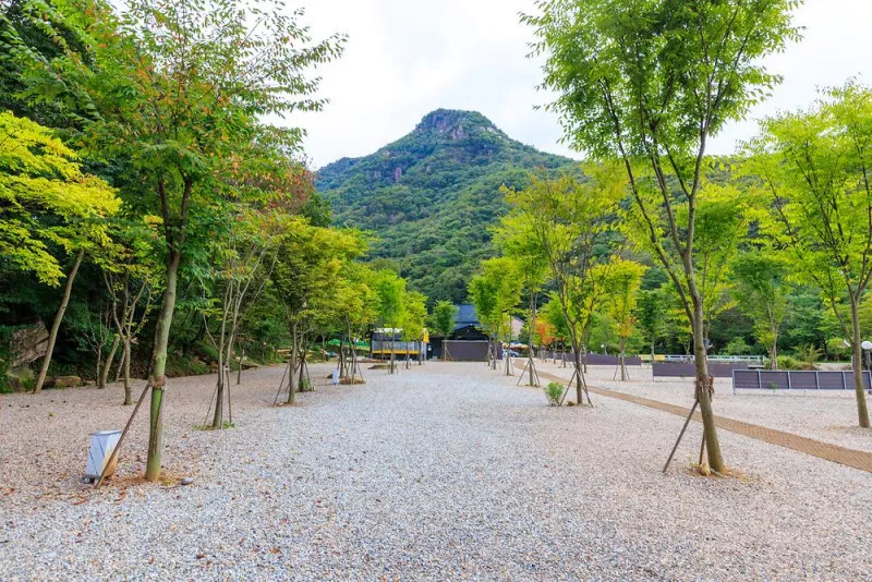 신월리 오토캠핑장 7