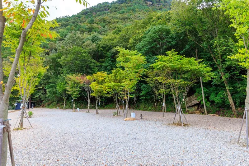 신월리 오토캠핑장 8