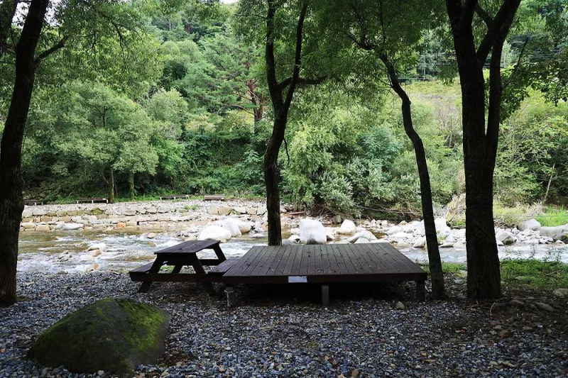 상동 장산 야영장 5