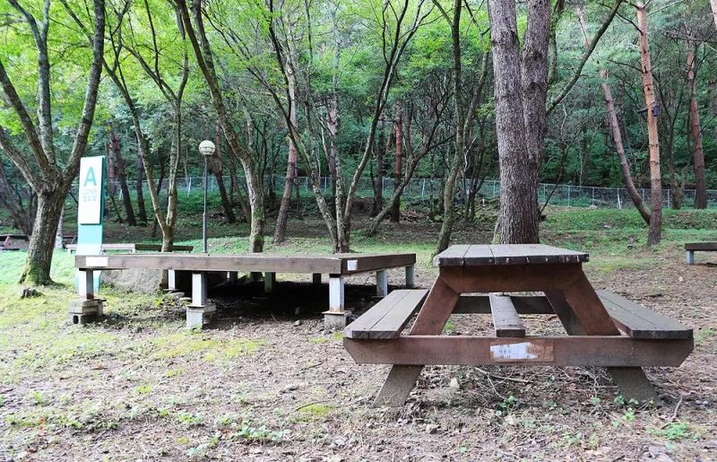 상동 장산 야영장 7
