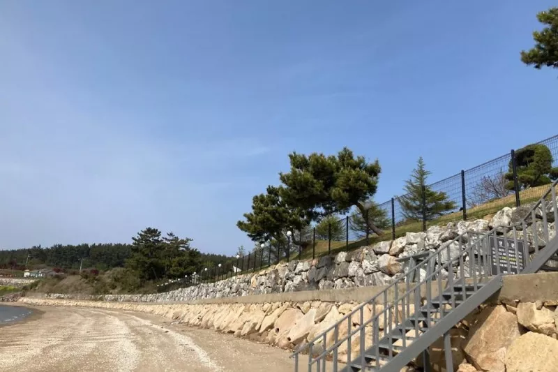 캠핑드림캠핑장 11