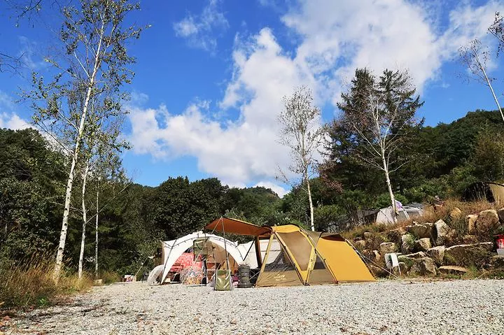알지캠프266 1
