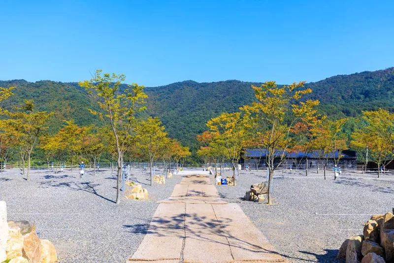 문두리 캠핑장 11
