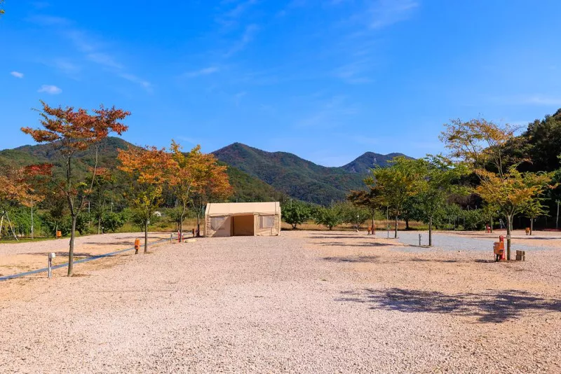 돌고래 오토 캠핑장 5
