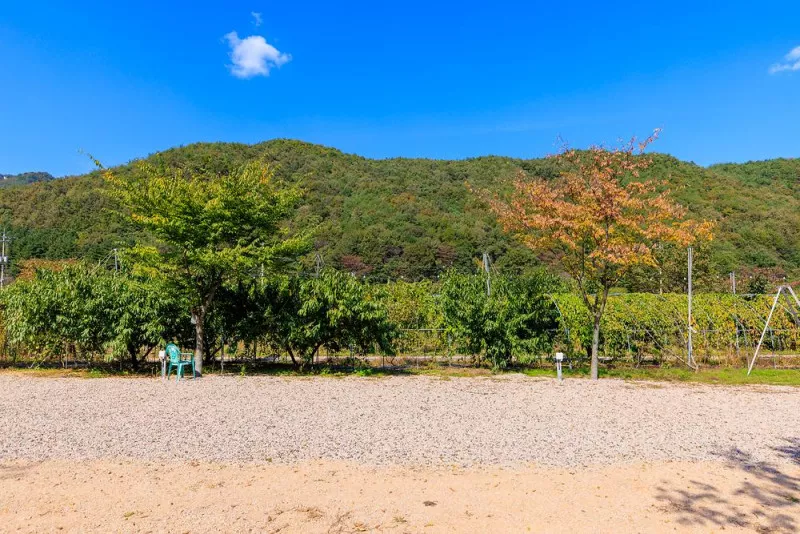 돌고래 오토 캠핑장 9