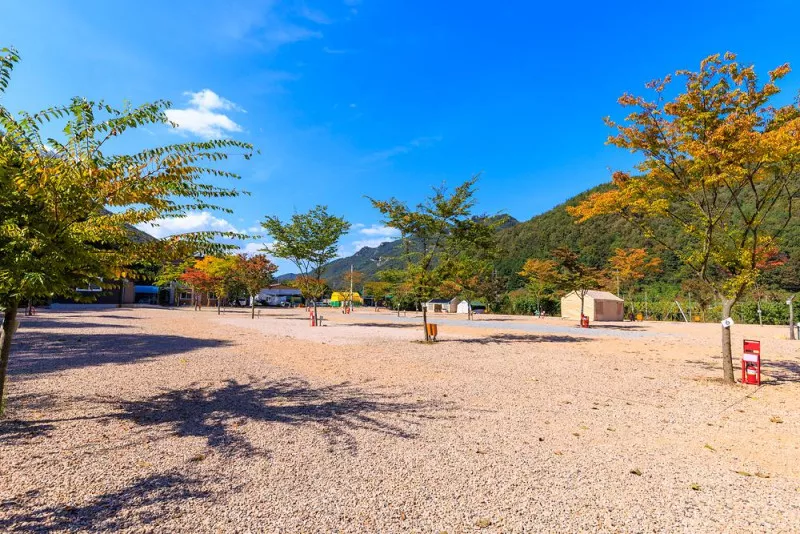 돌고래 오토 캠핑장 11