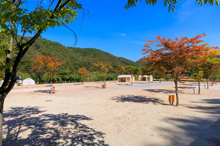 돌고래 오토 캠핑장 1