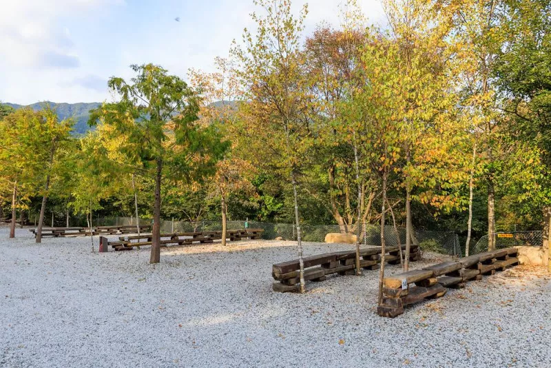 산중계곡캠핑장 6