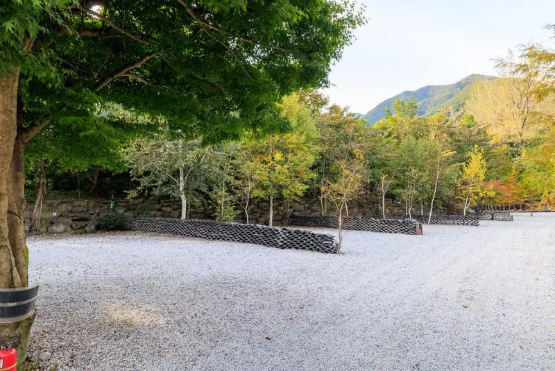 산중계곡캠핑장 5