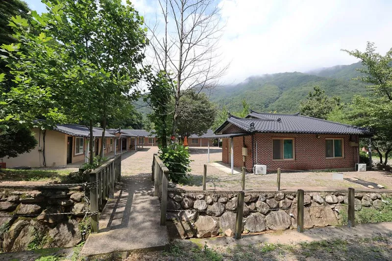 비발디 캠핑파크 설악오색점 8