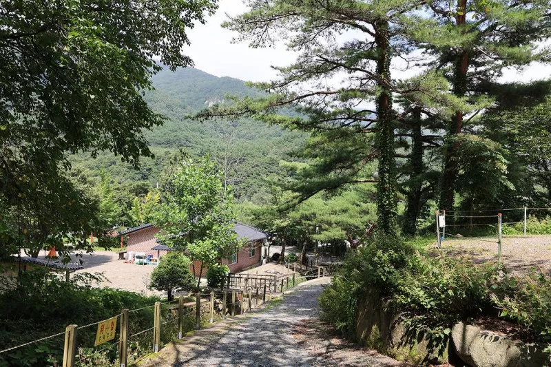 비발디 캠핑파크 설악오색점 5