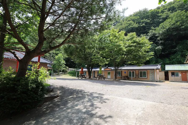 비발디 캠핑파크 설악오색점 11