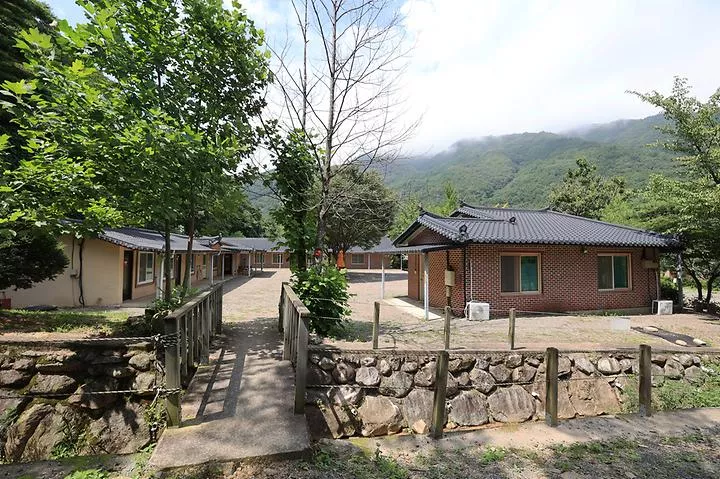 비발디 캠핑파크 설악오색점 1