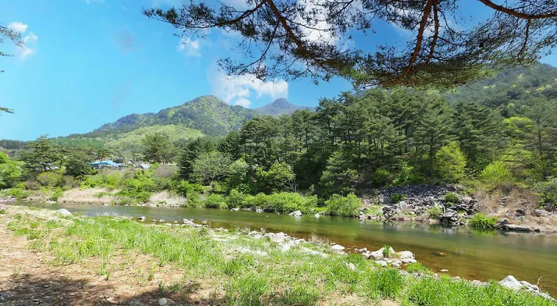리버파크 7
