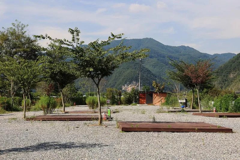 주천강 캠핑장 7