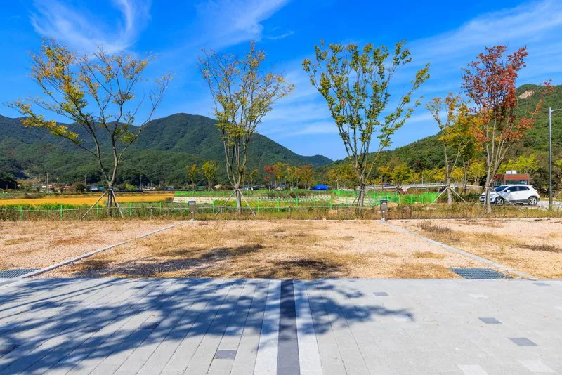 십승지힐링캠핑장 7