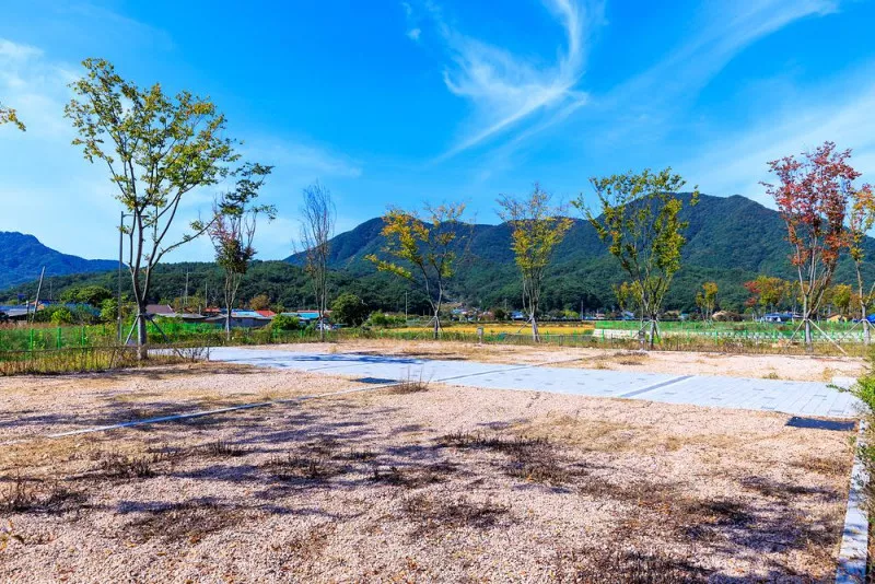 십승지힐링캠핑장 8
