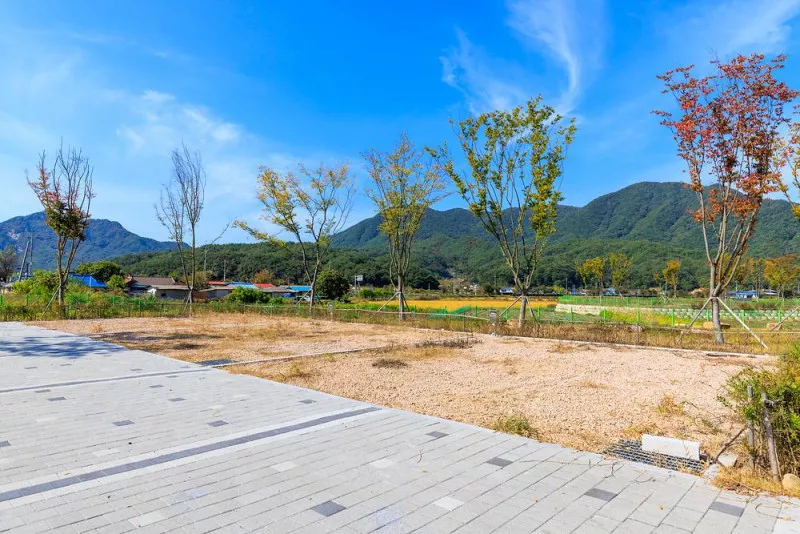 십승지힐링캠핑장 6