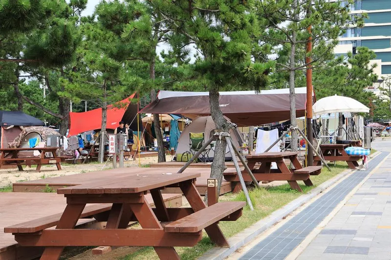 오호(OHO!) 캠핑장 9
