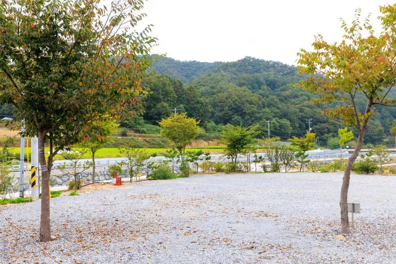 은성낚시공원캠핑장 10