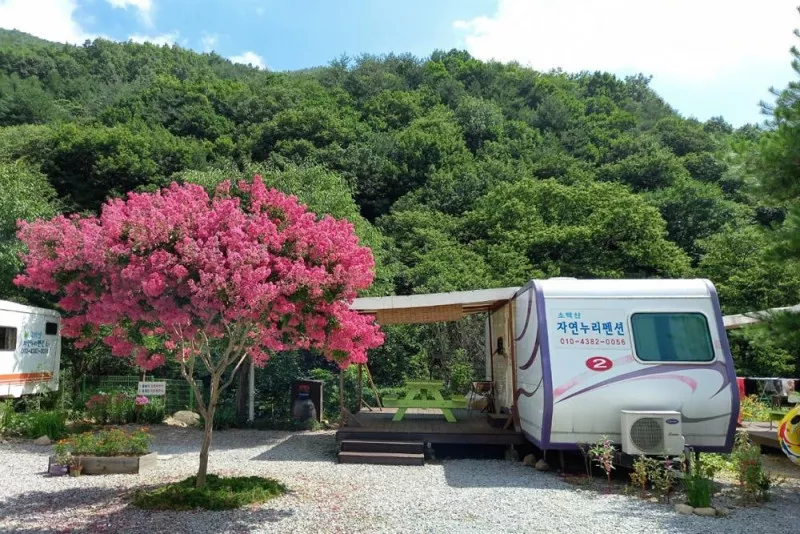 소백산자연누리야영장 2