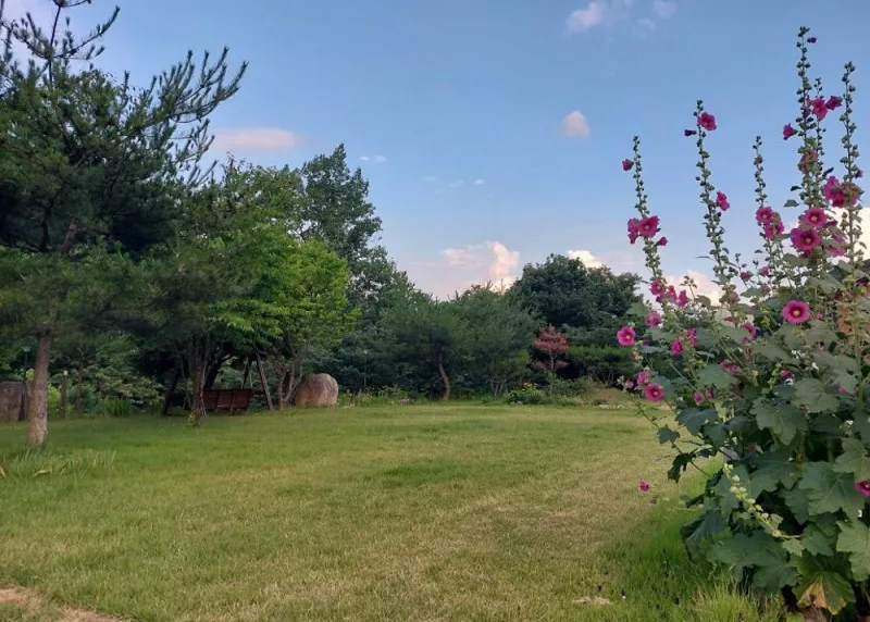 소백산자연누리야영장 7