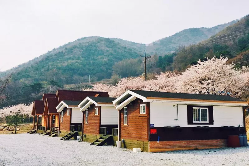 소백산자연누리야영장 11