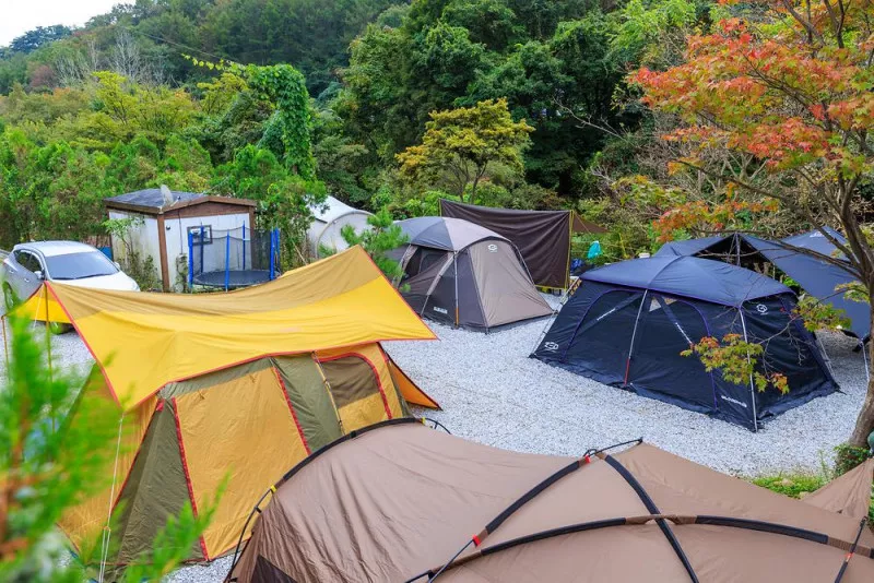 라온밸리캠핑장 9