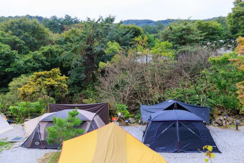 라온밸리캠핑장 8