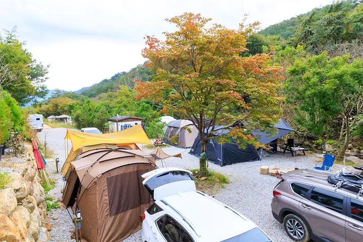 라온밸리캠핑장 1