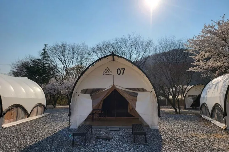 Y글램핑 10
