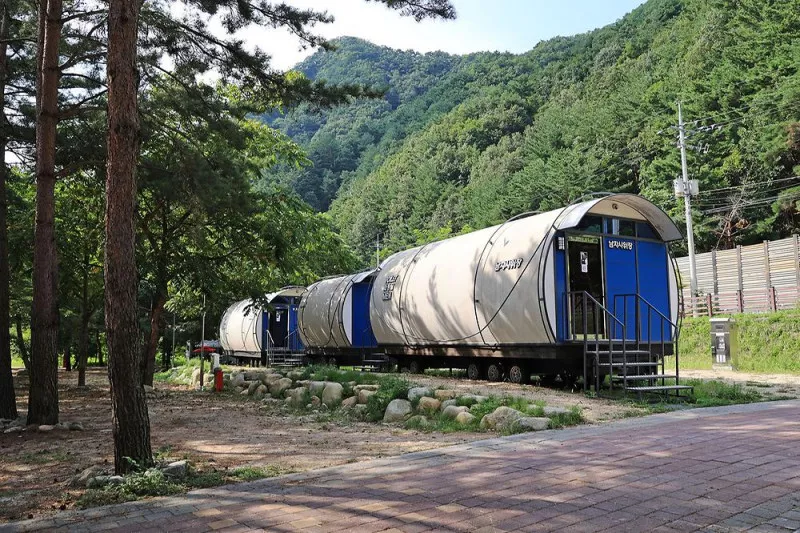 한계2리 솔밭야영장 4